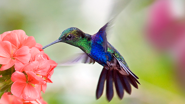 Illustration for article titled Spellbinding: We Asked Nature Photographers To Describe Their Most Memorable Shot